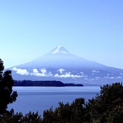 Image for choice number 21