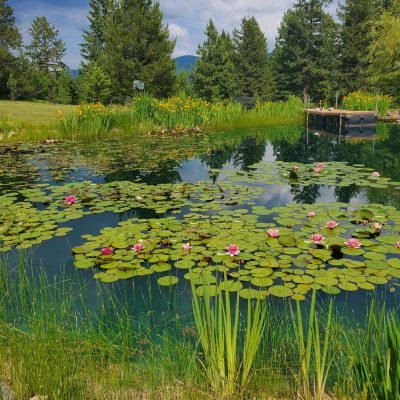 Image for choice number 7